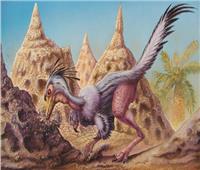 الديناصور «شوفويا».. أقدم صياد ليلي بـ65 مليون سنة | صور