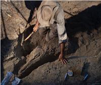 العثور على بقايا 9 أفراد من إنسان «نياندرتال» يعود أحدها إلى 100 ألف عام