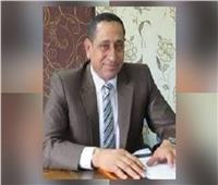 رفع 110 أطنان مخلفات من قرى المحلة الكبرى