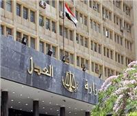 العدل تلغي الضبطية القضائية لرئيس مجموعة العمل الميداني بمرافق بورسعيد