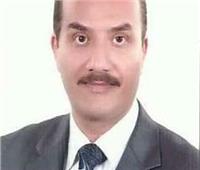 «جامعة العريش» تحقق محاور التنمية المستدامة في «شمال سيناء»