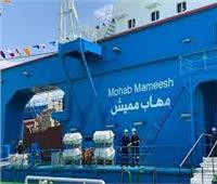 مستشار النقل البحري: لدينا 7 كراكات بدخول «مهاب مميش» للخدمة