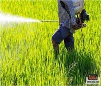 «الزراعة»: المبيدات متهم برئ من تلوث الأغذية والبطيخ آمن