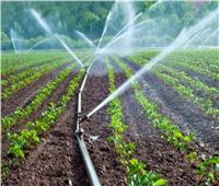 «الزراعة»: الري بالتنقيط يوفر 30% من المياه