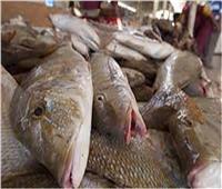 أسعار الأسماك  في سوق العبور ثالث أيام عيد الفطر 