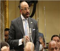النائب حسام المندوه: مصر تقوم بتحركات إيجابية لدعم القضية الفلسطينية 