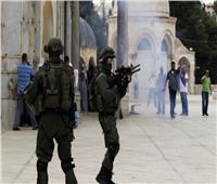 الجزائر: اعتداءات الاحتلال الإسرائيلي تنتهك القوانين والأعراف الدولية