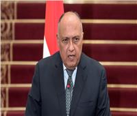 الخارجية المصرية تطالب سفير لبنان بتوضيح تصريحات شربل وهبة المسيئة