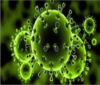 «القليوبية» تكشف عن حصيلة إصابات فيروس كورونا اليوم
