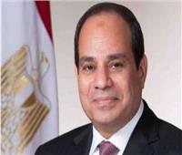 الجالية المصرية في إيطاليا تشيد بمبادرة الرئيس السيسي لإعمار غزة