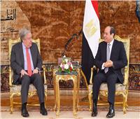 الرئيس السيسي: موقف مصر ثابت بشأن ضرورة إيجاد حل عادل للقضية الفلسطينية
