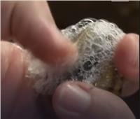 صابون «الحلزون» ضمن الأغلى والأكثر طلباً عالمياً | فيديو