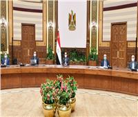 الرئيس السيسي يطلع على عرض متكامل لمحاور مشروع تطوير قرى الريف المصري