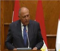 وزير الخارجية: مصر تعمل على إنهاء معاناة الشعب الفلسطين