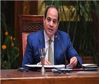 الرئيس السيسي: مصر عازمة على مواصلة جهودها في مكافحة الإرهاب والتطرف