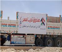صندوق تحيا مصر يرسل 500 طن مواد بناء ضمن مبادرة إعادة إعمار غزة