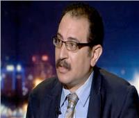 استاذ علوم سياسية: امريكا تعي دور مصر في فرض الاستقرار بالمنطقة