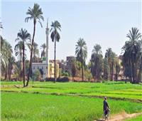 «أبو العربى» تدعم قرى الريف الأكثر فقرا