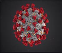 «الصحة العالمية»: بدء انحسار الموجة الثالثة من فيروس كورونا |فيديو