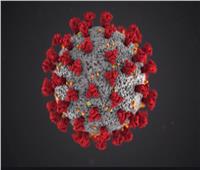 أفضل مداخلة| «الصحة العالمية»: بدء انحسار الموجة الثالثة لفيروس كورونا  