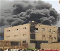 حريق هائل يلتهم مصنعا بالعاشر من رمضان | صور