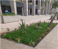 جامعة حلوان تشهد أعمال تطوير وتشجير داخل الحرم الجامعي