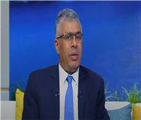 «برلماني» يوضح دور مصر في تثبيت التهدئة وإعادة إعمار غزة | فيديو
