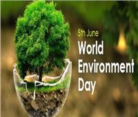 اليوم مصر تشارك العالم الاحتفال بيوم البيئة العالمي