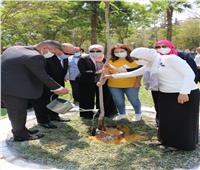 محافظ القاهرة وشباب البرنامج الرئاسي يغرسان شجرة احتفالا بيوم البيئة العالمي  