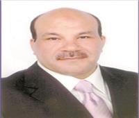 وليد عبدالعزيز: السوق العقارية المصرية قوية وقادرة على تجاوز جميع الأزمات