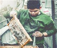 «عبد الله» مروض النحل  بدأ مشروعه بـ1000 جنيه