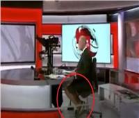مذيع BBC يقدم نشرة الأخبار بـ«الشورت» | فيديو