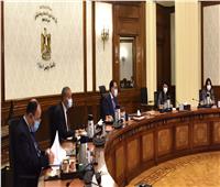 رئيس الوزراء يستعرض مشروعات التعاون المشتركة بين مصر وفرنسا