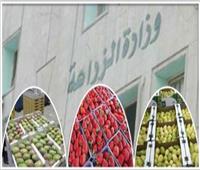 الزراعة: ارتفاع معدلات التصدير بنسبة 20% في مصر ..فيديو