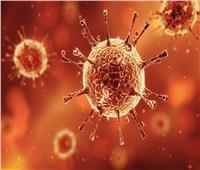 مطالب أوروبية بإجراء تحقيق كامل حول أصول فيروس كورونا