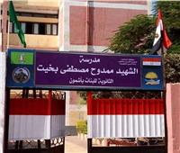 أعلام مصر تزين «أشمون» بمناسبة العيد القومي للمنوفة| صور