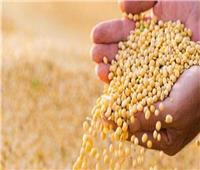 «الزراعة»: فحص 409 عينات تقاوي وبذور محاصيل واردة من الخارج خلال شهر