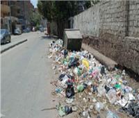 حملة نظافة وتجميل في أوسيم بالجيزة| صور‎