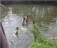 مصرع طفل غرقا بمياه ترعة بأبو حمص في البحيرة 