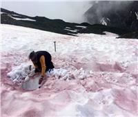 «ثلج البطيخ».. علامة على تغير المناخ  في جبال الألب