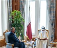 وزير الخارجية يُسلم أمير قطر رسالة من الرئيس السيسي