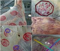 كيف يكشف شكل الختم على اللحوم عن نوعها ومصدرها وتاريخ إنتاجها؟