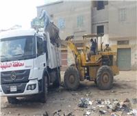 محافظ الدقهلية: استمرار أعمال رفع المخلفات والقمامة من الشوارع يوميا