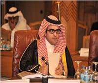 رئيس اللجنة الدائمة للإعلام العربي: الشراكة المصرية السعودية تاريخية