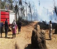 السيطرة على حريق في أشجار جوافة داخل مزرعة بقنا