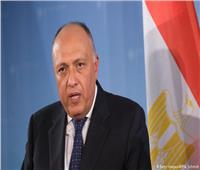 شكري: مصر برهنت على التزامها بدعم الاستقرار والسلام حول العالم