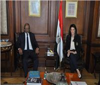 المشاط تؤكد حرص مصر على دعم مجلس الوحدة الاقتصادية فى القيام بمهامه