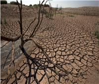 ندرة المياه| الأمم المتحدة تحذر من الجفاف: الوباء التالي الذي يهدد العالم