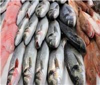 أسعار الأسماك بسوق العبور اليوم ١٩يونيو 