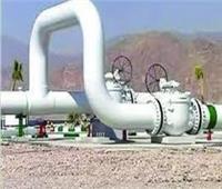 «مستثمري الغاز»: الموازنة الجديدة مؤشر على قوة قطاع البترول والطاقة في مصر